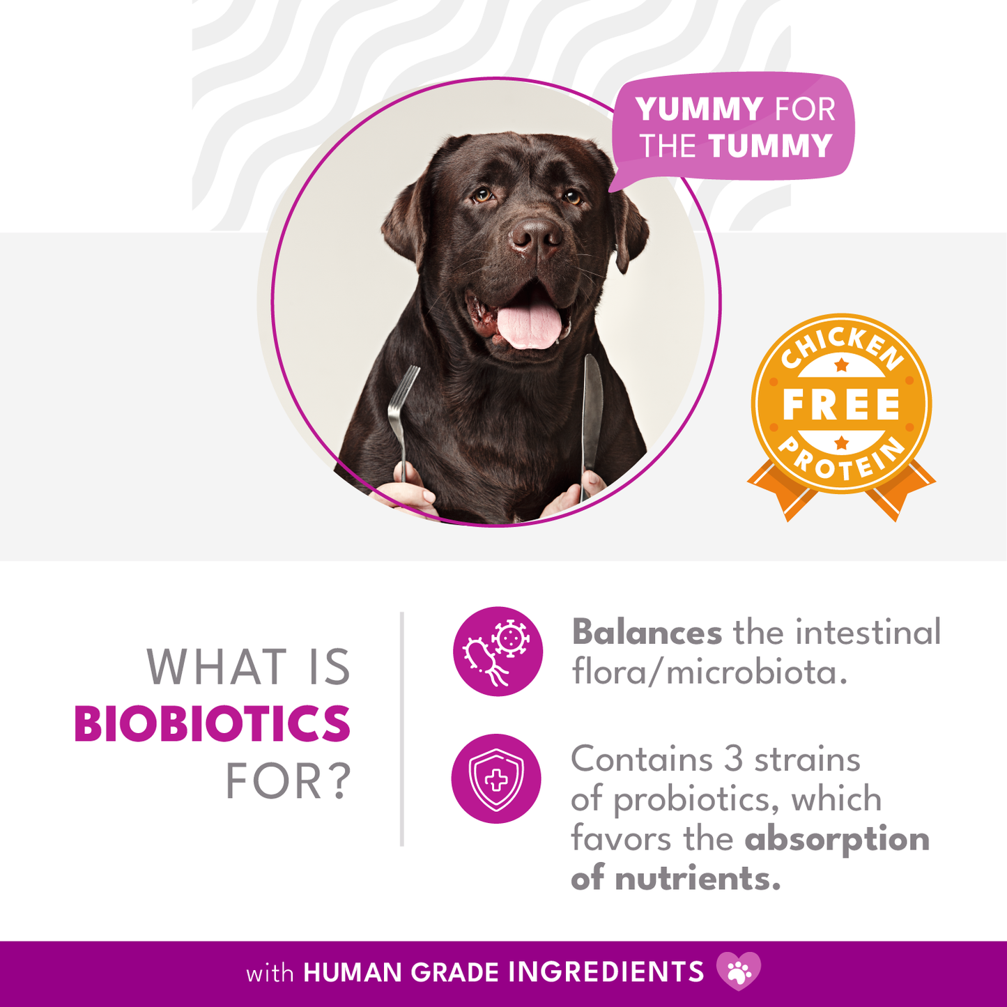BIOBIOTICS