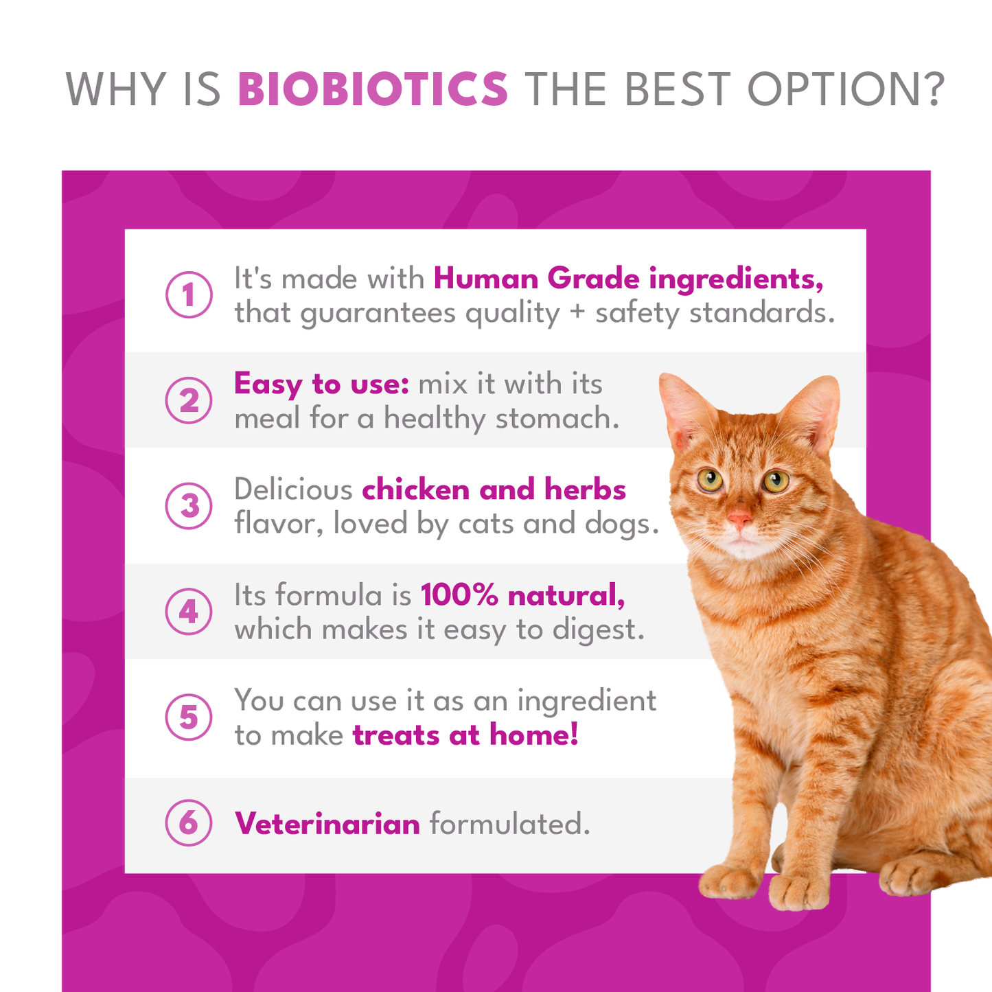 BIOBIOTICS