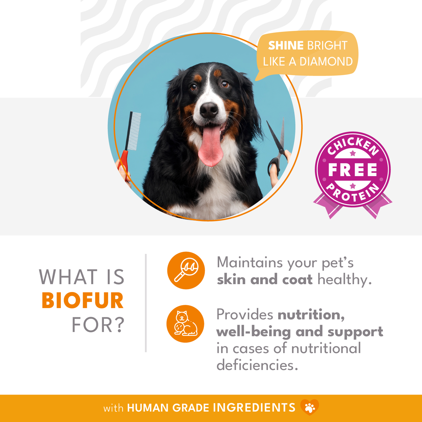 BIOFUR