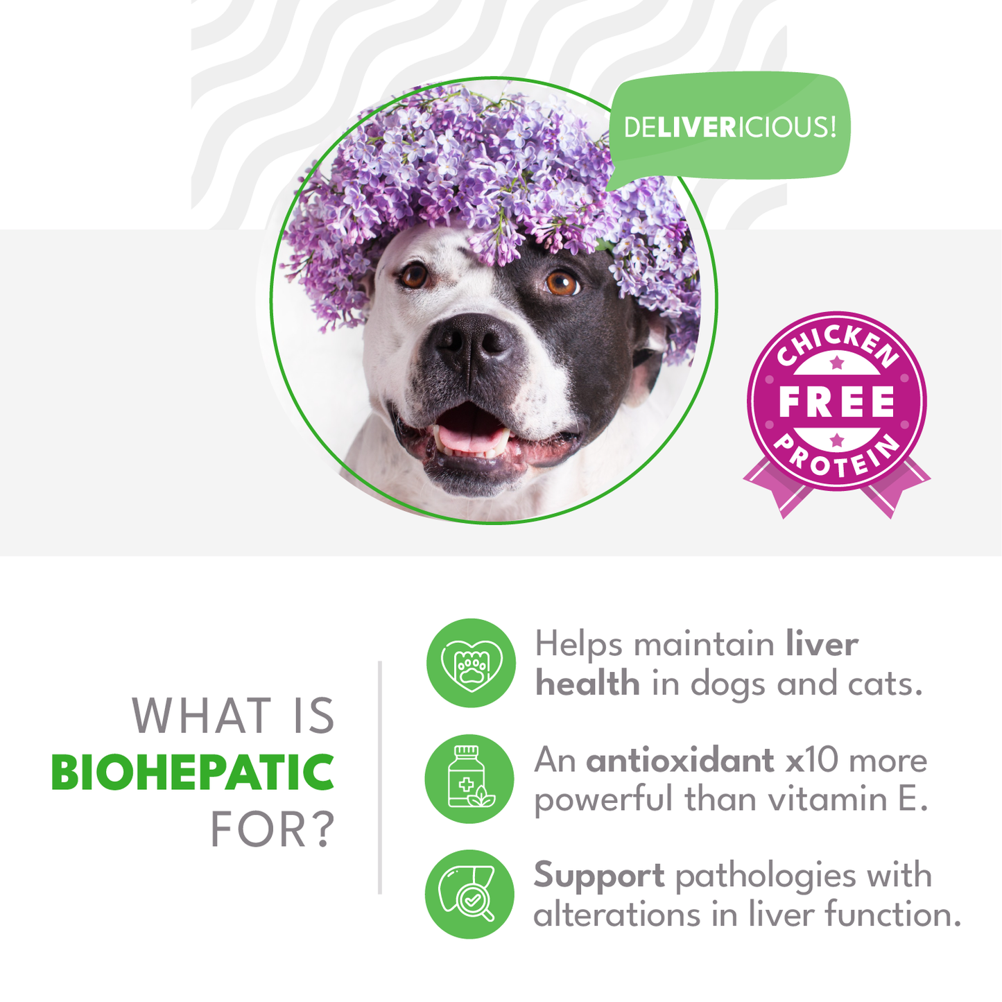 BIOHEPATIC