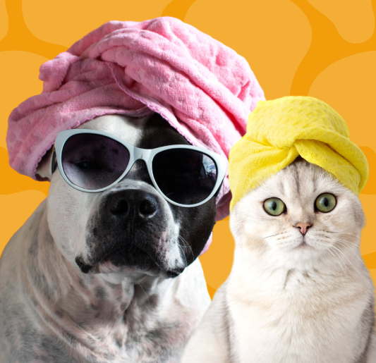 For Cats & Dogs