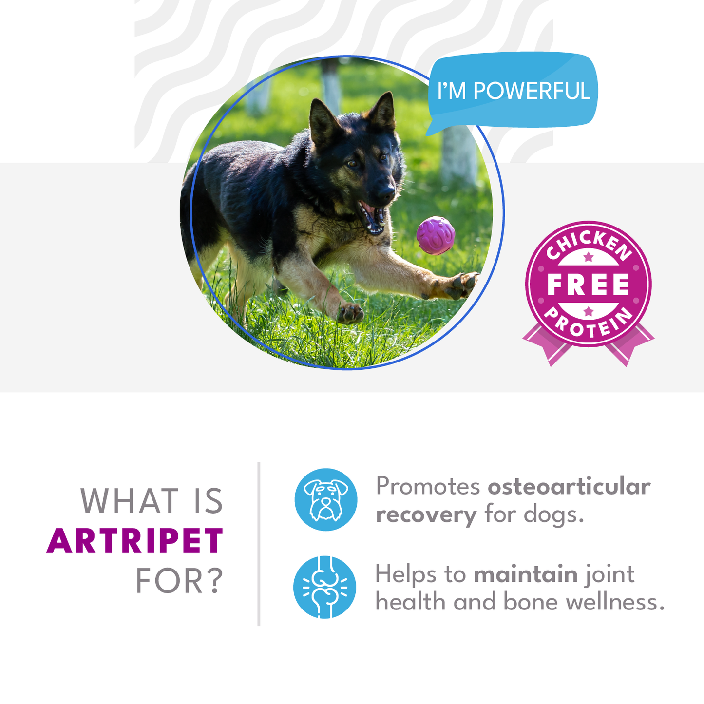ARTRIPET
